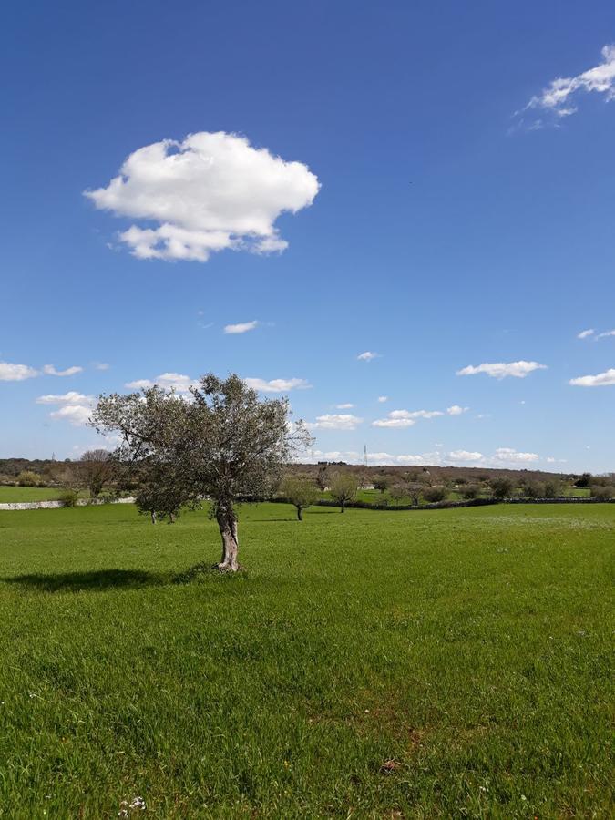 Willa Enjoytrulli - Countryside Noci Zewnętrze zdjęcie